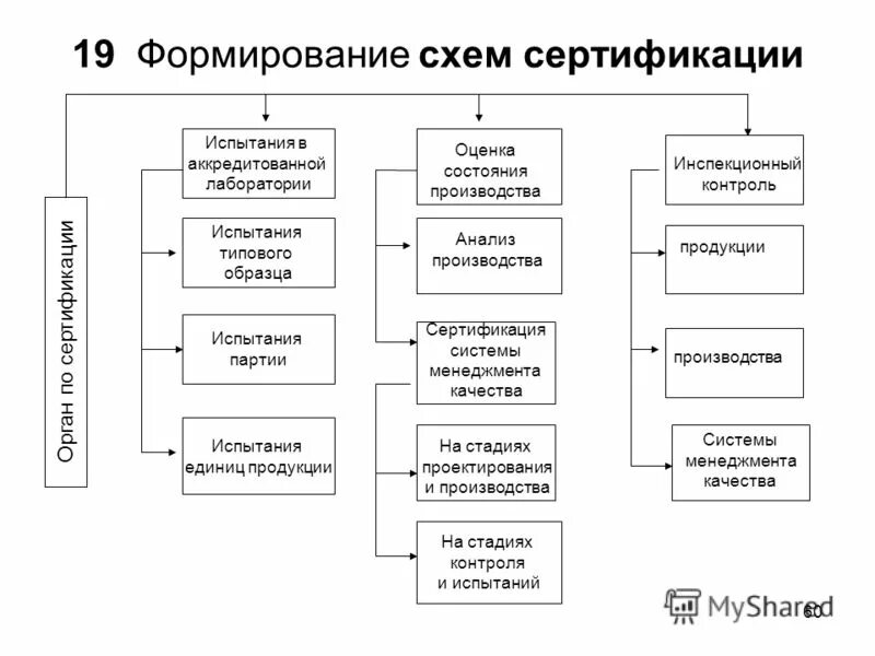 Схема сертификации 7с. Схемы сертификации продукции таблица. Номер схемы сертификации. Схема сертификации на партию.