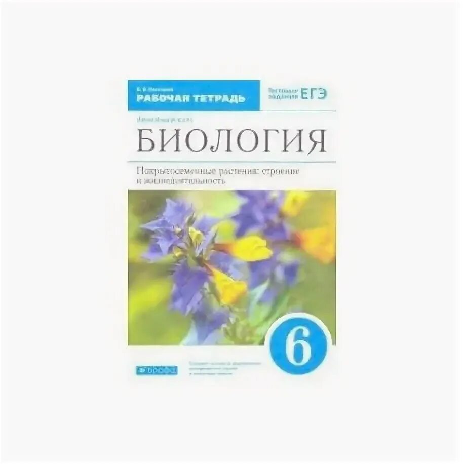 Биология 6 класс рабочая тетрадь Пасечник. Рабочая тетрадь по биологии для 6 класса под редакцией в.в. Пасечника;. Рабочая тетрадь к учебнику Пасечника 6 класс. Рабочая тетрадь по биологии 6 класс Пасечник.