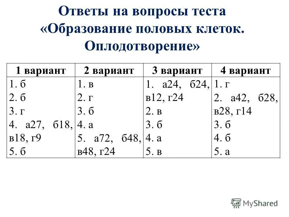 Первый вариант сайт