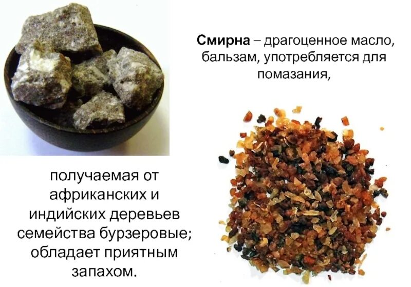 Дары волхвов икона. Росный ладан. Смирна мирра. Смирна это в церкви что такое. Ароматическая смола смирна.