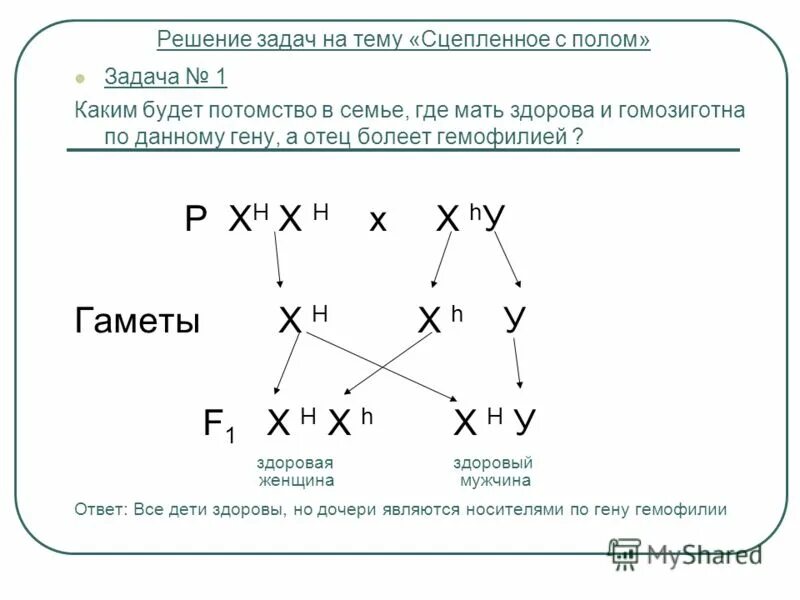 Решение генетических задач на сцепленное с полом наследование. Гемофилия задачи на генетику. Наследование признаков сцепленных с полом задачи. Задачи по генетике на сцепленное с полом наследование с решением.