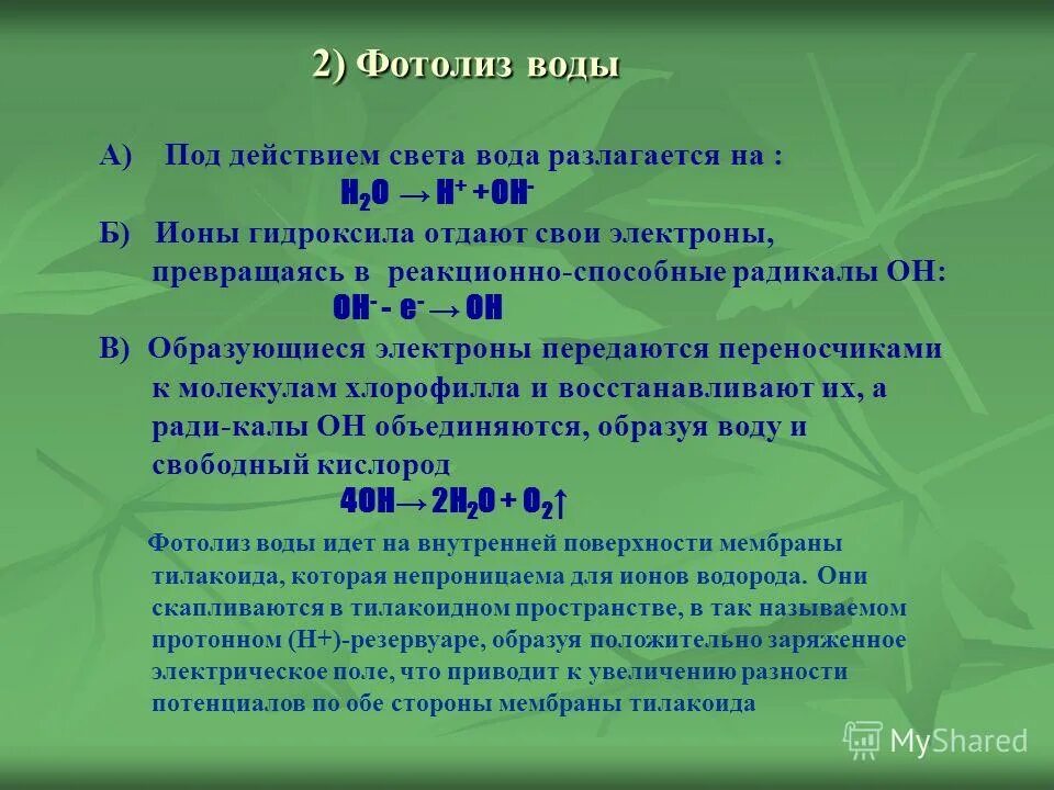 Фотолиз воды. Фотолиз воды фотосинтез. Фотолиз воды уравнение. Фотолиз схема. Световая фаза расщепление