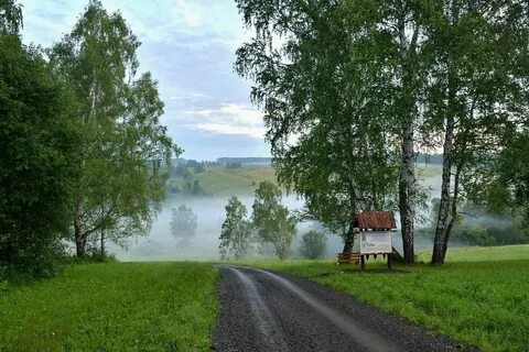 Крапивинский кемеровская область