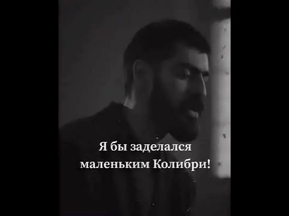 Мияги Колибри. Колибри мияги текст. Колибри мияги на аву. Колибри мияги басс.