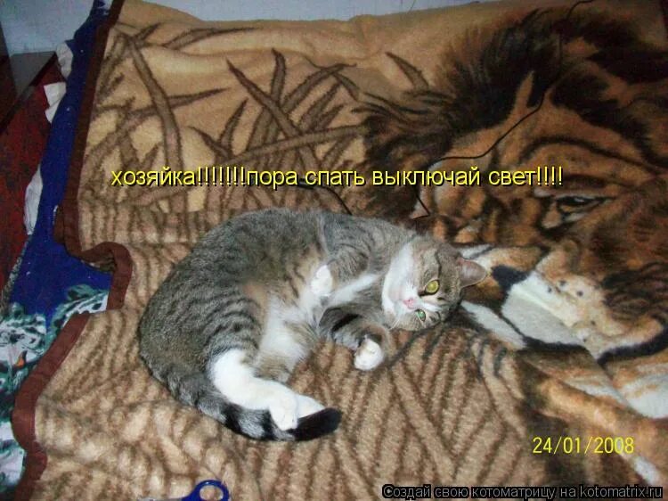 Выключайте свет пора спать. Моль мем. Гаси кампуктер и спать. Мемы про бессонницу. Пора спать!.