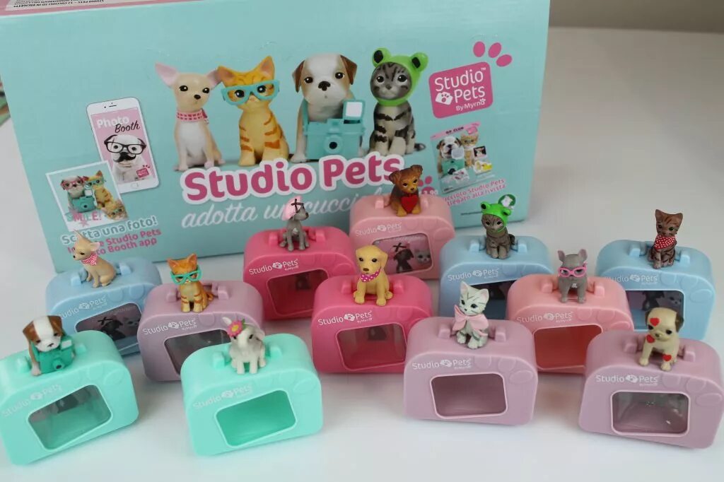 Studio pets. Studio Pets чемоданчики. Игрушки m Pets. Happy Studio Pet игрушки.