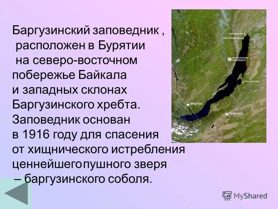 Заповедник созданный в 1916 году. Баргузинский заповедник озеро Байкал. Баргузинский заповедник 1916. Заповедники России Баргузинский заповедник. Баргузинский заповедник рассказ.