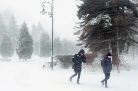 Аномальные погодные условия