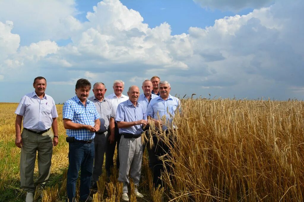 номер нехаевской цзн. совхоз динамо нехаевский район. краевая форма пожарного. бердюжье досааф безопасное колесо. погода в нехаевском районе рп 5.