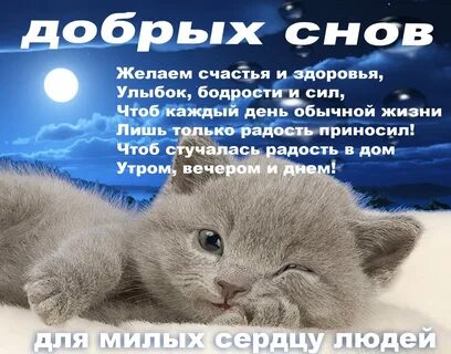 Красивые пожелания спокойной ночи в прозе