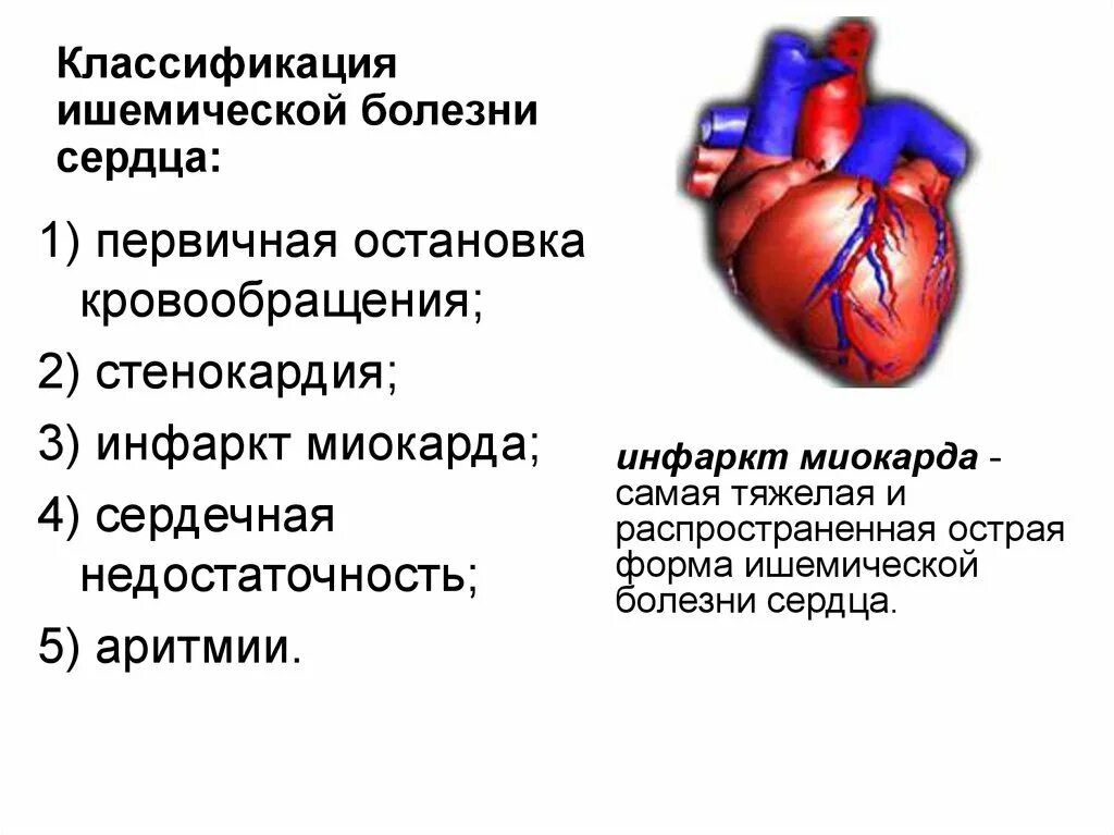 ИБС относится стенокардия, инфаркт миокарда. Ишемическая болезнь сердца и сердечная недостаточность. Клинические формы ишемической болезни сердца. 8. Классификация ишемической болезни сердца. Области ишемии