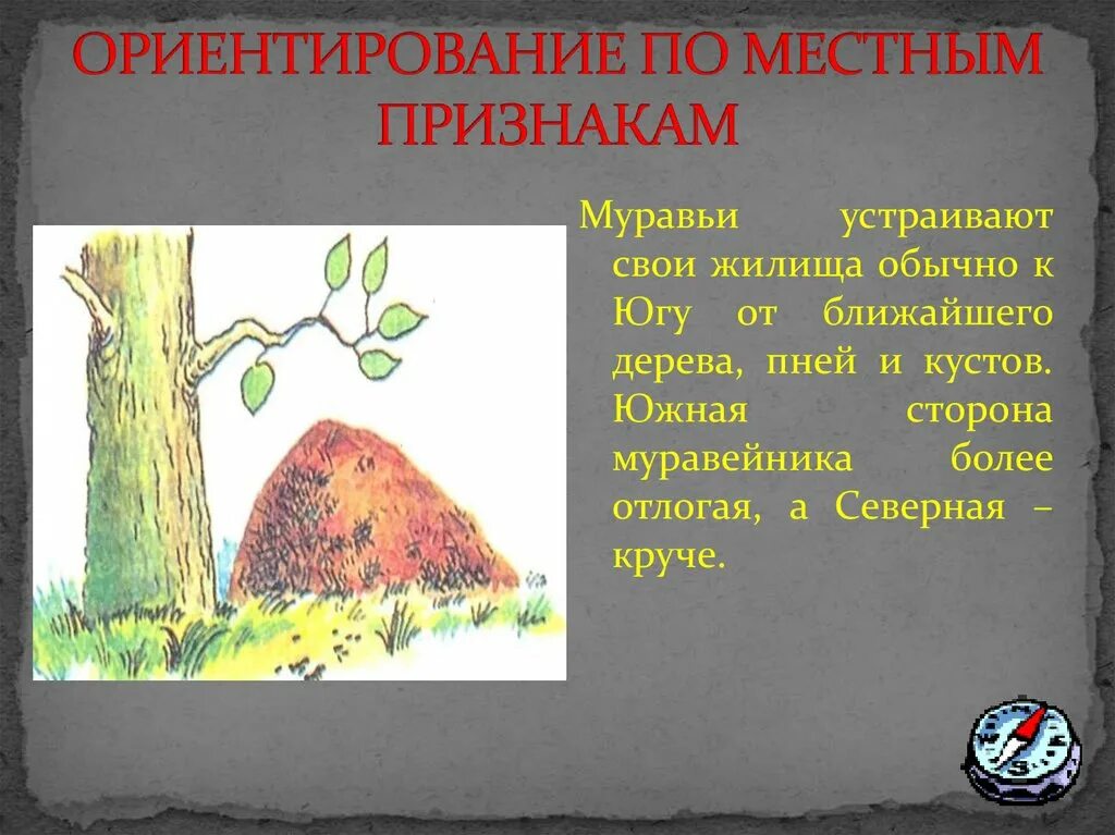 Посмотри вокруг ориентирование на местности. Ориентирование по местным признакам. Ориентирование по местным природным признакам. Вркнтирование по местном признакам. Ориентирование попо местным признакам.