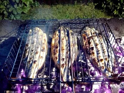 Лещ на мангале на решетке рецепт