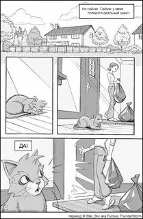 Коты 18 комиксы