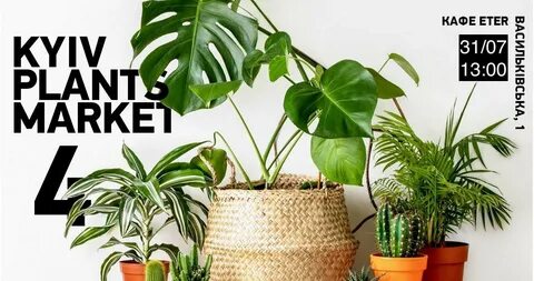 Plant market