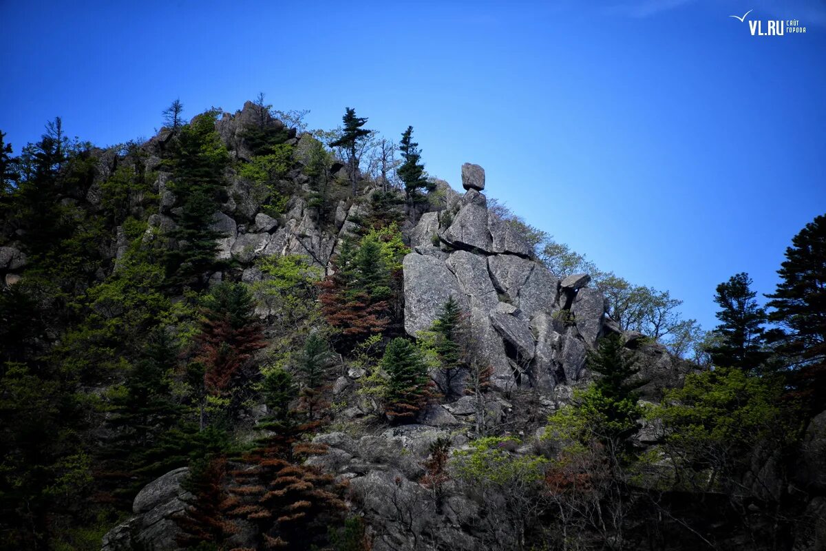 примория. примория. бухта муравьиная мыс черепахи. примория. мегалиты приморья город драконов.