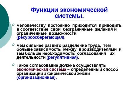 Функции хозяйственной организации
