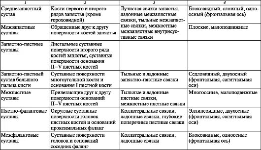 Таблица соединений кости