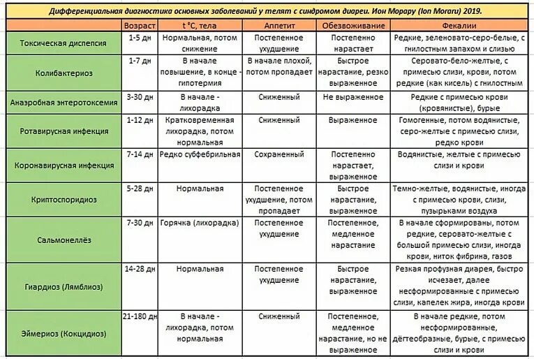 Гастроэнтерит латынь
