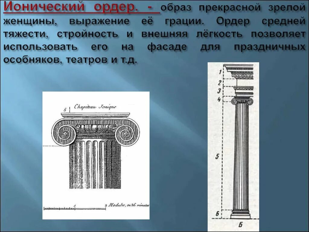 Ионическая жизнь это