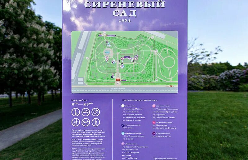 Сиреневый сад на щелковском шоссе как добраться. Парк сиреневый сад москва. Сиреневый сад на щелковском шоссе. Парк сирень щелковское шоссе. Сиреневый сад на щелковском шоссе как добраться.