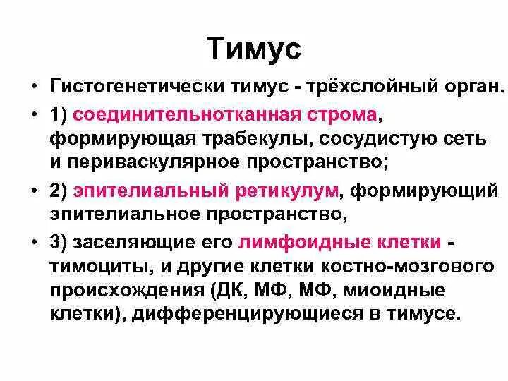 Тимус регулирует. Соединительнотканная строма тимуса. клетки стромы тимуса. периваскулярное пространство тимуса. функции стромы тимуса.