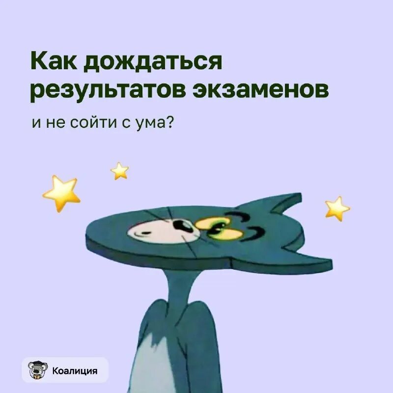 дождались прикол. запрет диспаренизации в башкирии. дождаться результатов. экзамен мем. дождаться результатов.