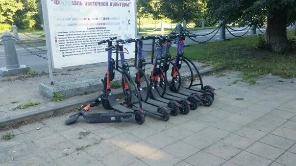 Самокаты rent. Арендованные самокаты. Приложение для аренды самокатов. Самокат приложение есть. Электросамокат urent.