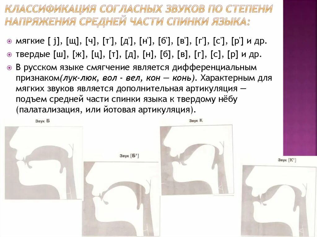 Согласные звуки при произнесении. Классификация согласных звуков. Классификация звуа по частое. Артикуляционная классификация согласных звуков. Средняя часть спинки языка.