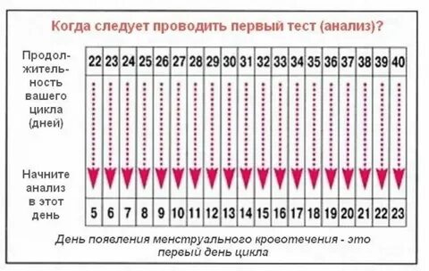 Зачатие при нерегулярном цикле
