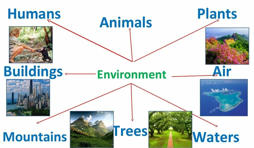 Topic environmental. Презентация на тему environment. Environment Definition. Лексика на тему Environmental problems. Environment pollution кластер.