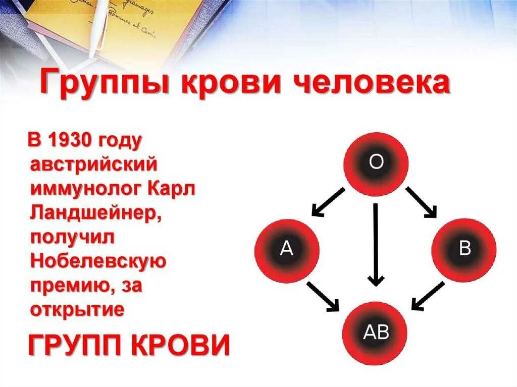 Группа крови. Группы крови человека. Кровь группы крови. Кровь по группам крови. Группа крови влияние