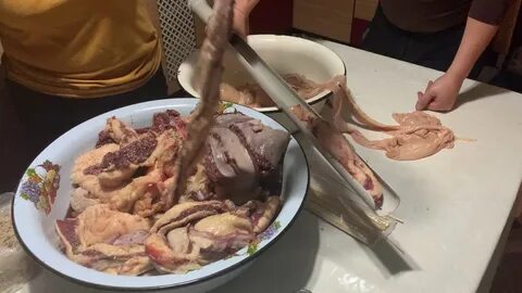 Казы видео