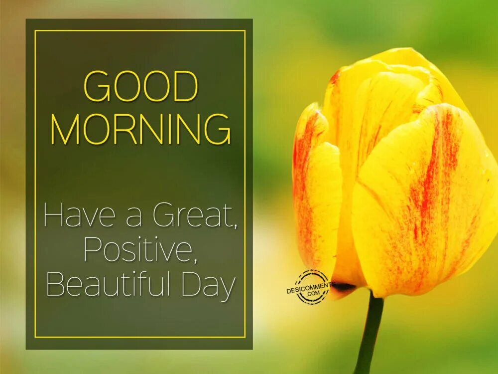 Make this day good. Good Day. Good morning have a beautiful Day. Good Day картинки. Good morning beautiful Day.