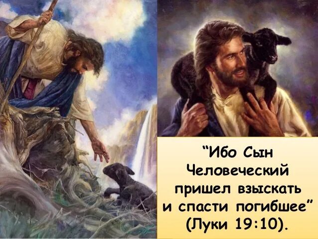 Апостол закхей мытарь. Иисус христос с апостолами в поле живопись. Сын человеческий в библии. Сын человеческий в библии. Иисус и мытарь закхей.