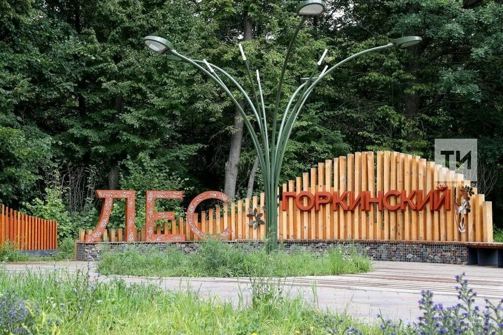 Горкинско-Ометьевский лес Казань. Куда пойти?