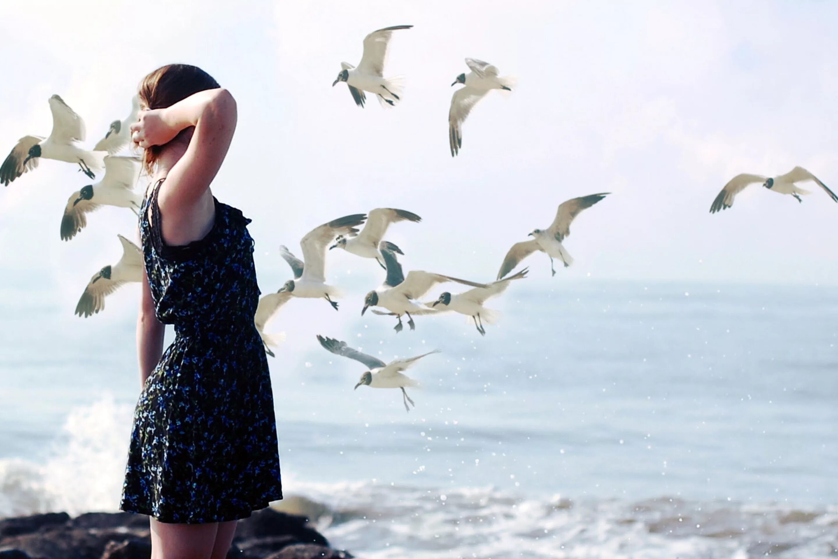 Человек сотворен для счастья. Море птицы девушка. Человек птица. Девушка и Чайки. Девушка с чайками.
