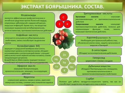 Кислота полезная для печени