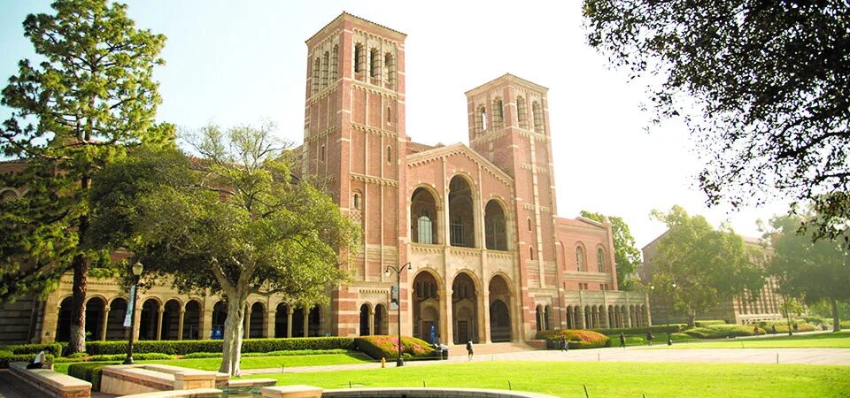 Ucla. Калифорнийский университет в лос-анджелесе. калифорнийский университет в лос-анджелесе ucla. университет в лос анджелесе ucla. лос анджелес колледж ucla.