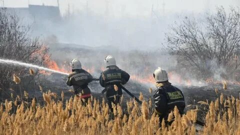 Пожар 26 ноября 2023