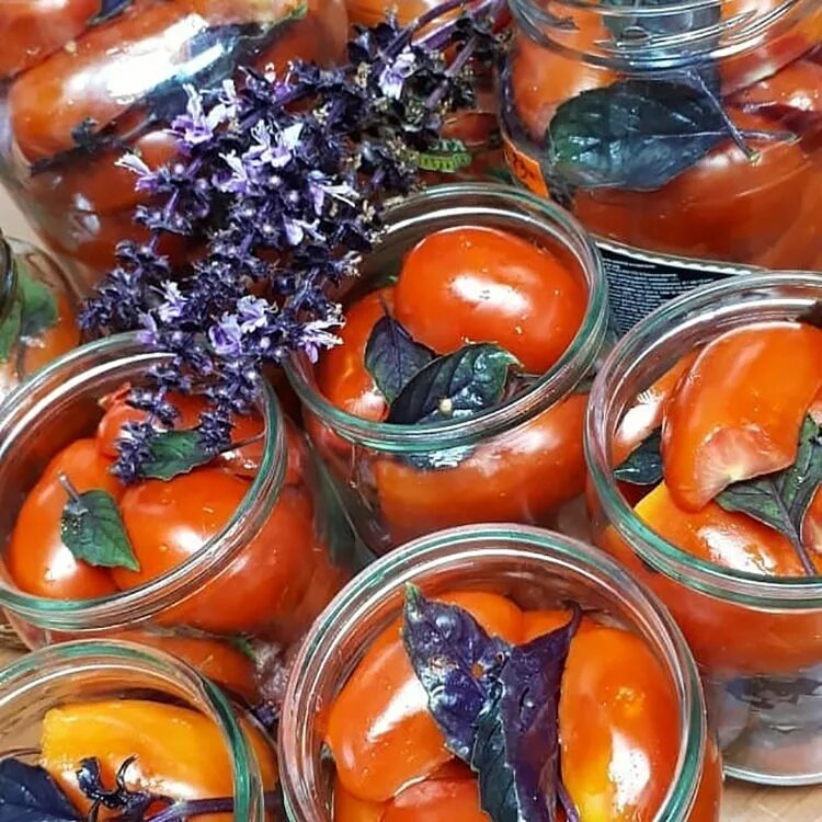 Томаты с базиликом на зиму. Помидоры с базиликом на зиму. Помидоры с базиликом на зиму рецепты. Помидоры с базиликом и чесноком на зиму. Помидоры с базиликом на зиму без стерилизации.