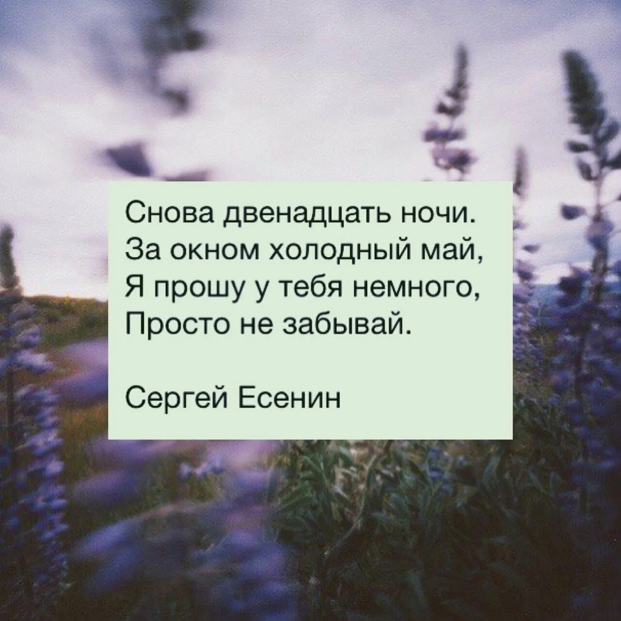 Цитаты про май из книг. Красивые строки из стихов. красивые строчки из стихов. цитаты из стихов. красивые строки из стихотворений.