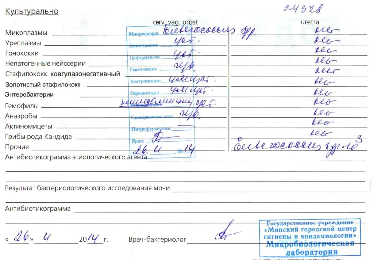 Исследование мазков на трихомонады и гонококки норма. Анализ на трихомонады и гонококки норма. Исследование на гонококки. Исследование мазка на трихомонады и гонококки норма. Анализы урология мужчины