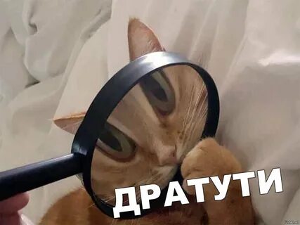 Дратуте