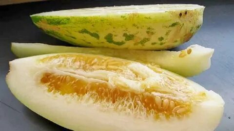 Огурец вкус дыни