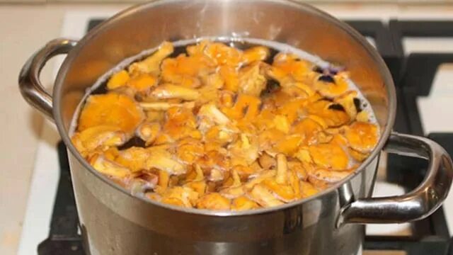 Сколько варить лисички после закипания для заморозки