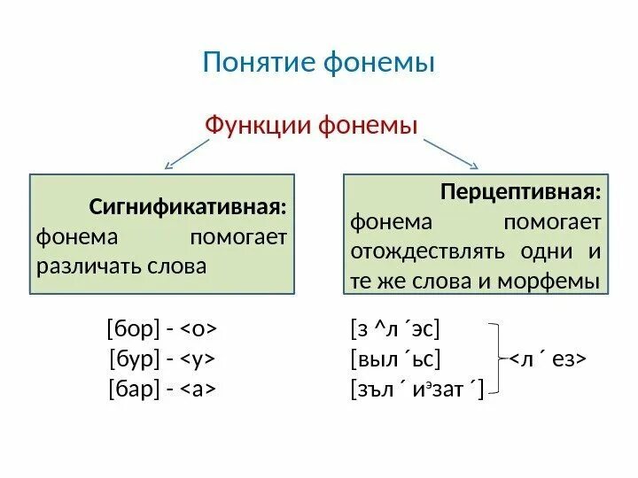 Сильные и слабые гласные