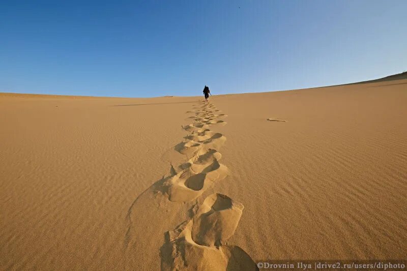 Песчаный бархан в дагестане. Белое солнце пустыни бархан сарыкум. Пустыня в дагестане сарыкум. Белое солнце пустыни дагестан. Белое солнце пустыни сарыкум.