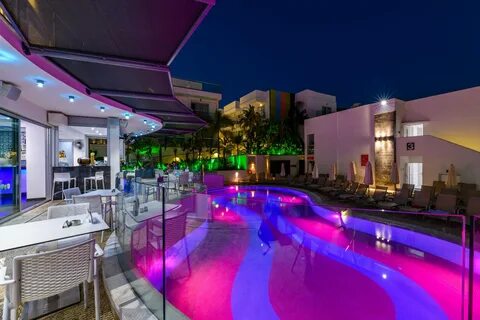 Oasis 4