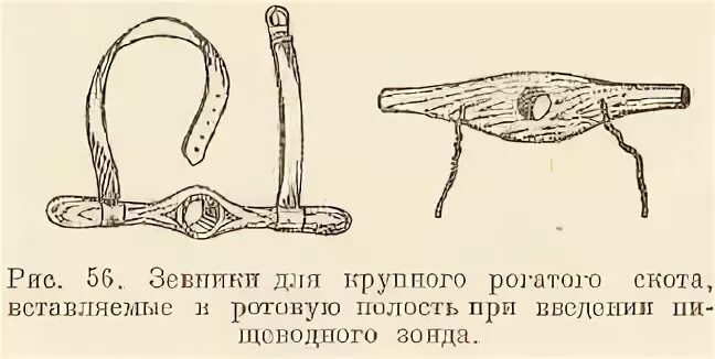 Зевник для коров. Зевник ротовой для крупных животных. Ветеринарный зевник КРС. Зондирование рубца у КРС.